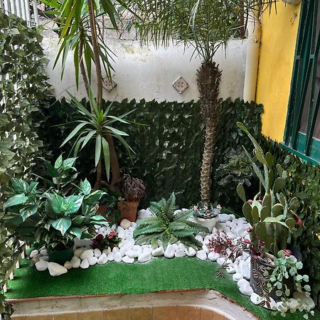 Amuri Di Casa Scogliera 卡塔尼亚 外观 照片